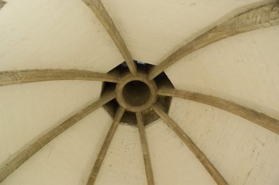 DSC_3906.jpg