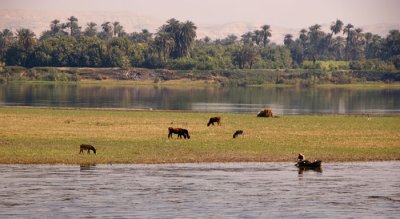 DSC_4661.jpg