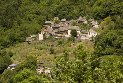 DSC_1067.jpg