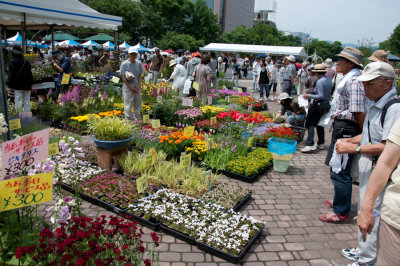 20100627-_DSC0167.jpg