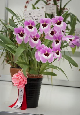 20100627-_DSC0220.jpg