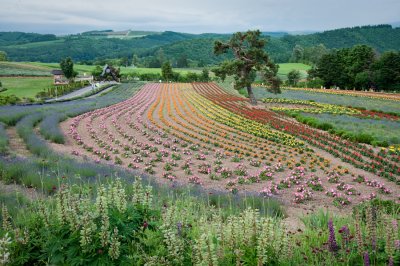 20100630-_DSC0476.jpg