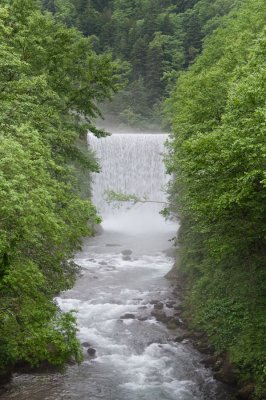 20100630-_DSC0489.jpg