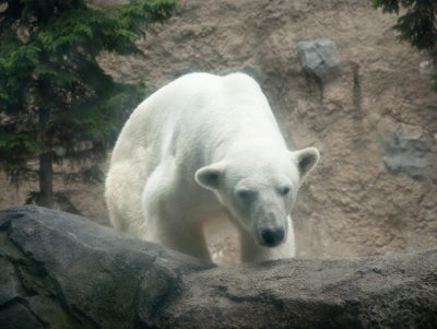g1/70/782370/3/127085660.DNuFf7iw.jpg