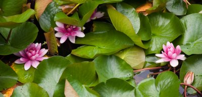 20100703-_DSC0693.jpg
