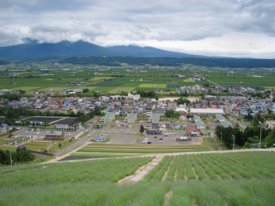 CIMG0099.jpg