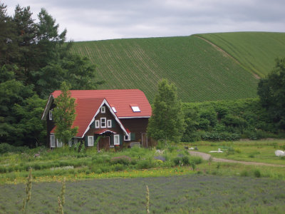 CIMG0143.jpg