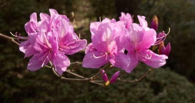 DSC_8304.jpg