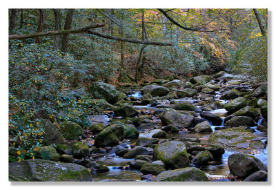 Stream