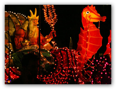 Under the Sea