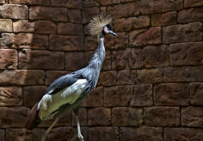 g1/70/803470/3/112651769.lxGB02jx.jpg