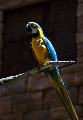 g1/70/803470/3/112651774.olbPSqeU.jpg