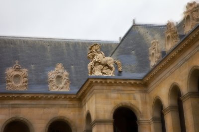 IMG_9693.jpg