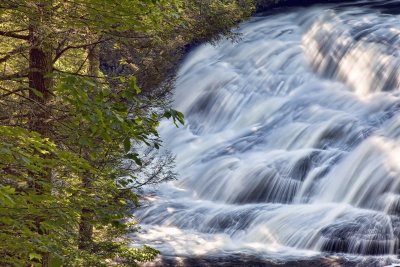 _MG_5227.jpg