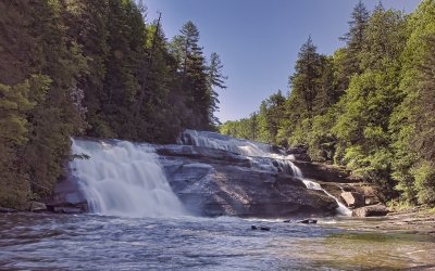 _MG_5260.jpg