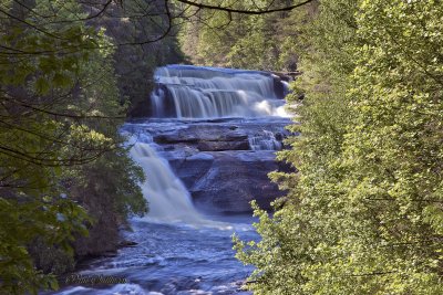 _MG_5224.jpg