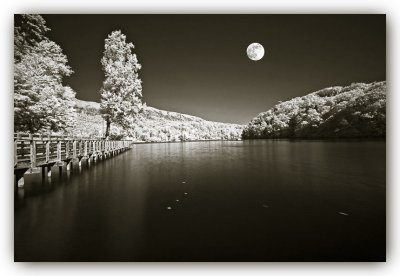 Moonlight Bay