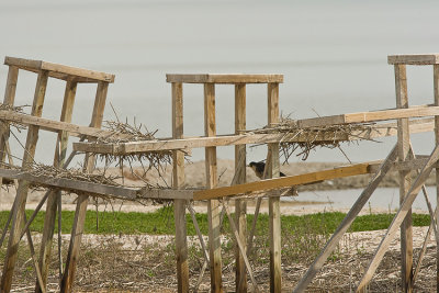 Rockport Misc 01.jpg