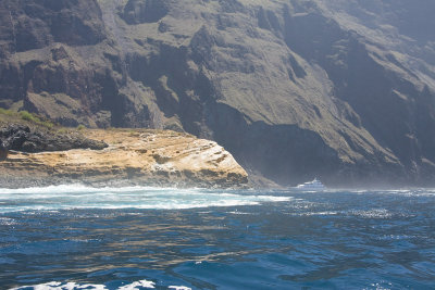 Punta Vicenta Roca Isabela Island