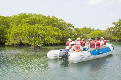 Exploring Mangrove Lagoon Isabela Island