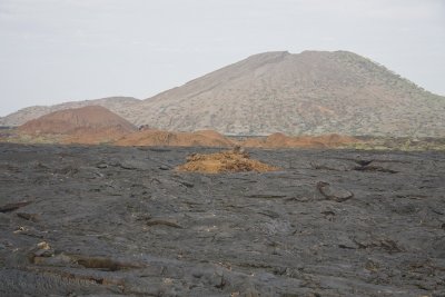 Lava Field Santiago Island