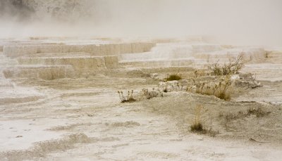 Mammoth Hot Springs Terraces 05