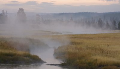 Madison River at Dawn 01