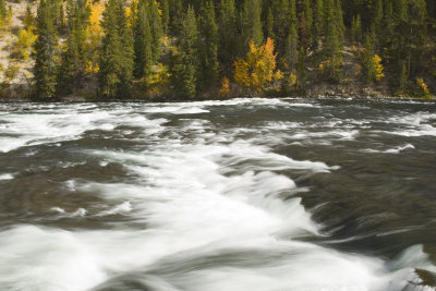 Yellowstone River