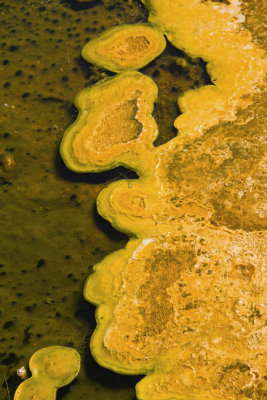 Abstract Bacterial Mats in Hot Springs (closeup)