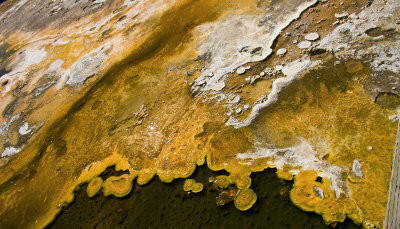 Abstract Bacterial Mats in Hot Springs