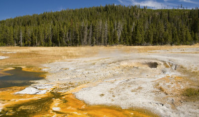 Geyser Basin 03