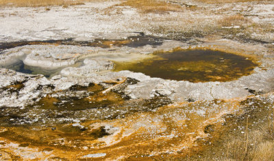 Geyser Basin 05