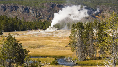 Geyser Basin 07