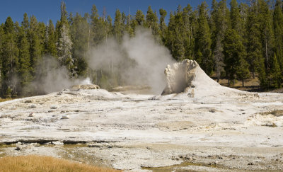 Geyser Basin 08