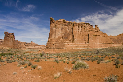 Sandstone Cliffs and Desert Grass