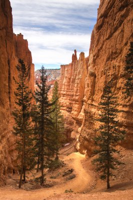Along the Navajo Loop Trail