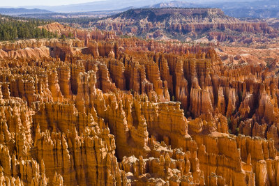 Ancient Hoodoos from Sunrise Point