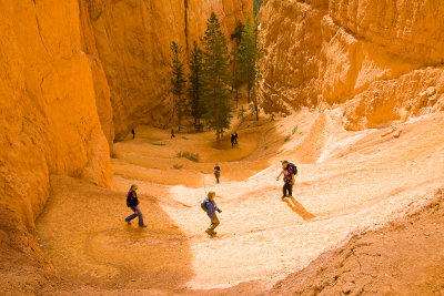 Climbing Up the Navajo Loop Trail