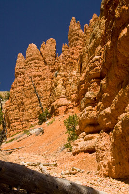 Hiking Through Red Canyon