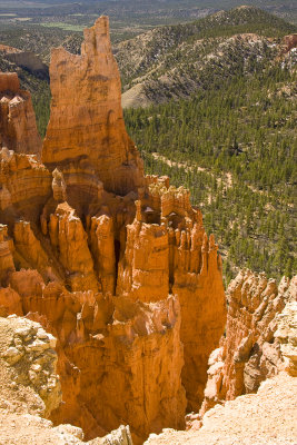 Hoodoos and Fins