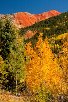 Aspen and Red Mountain