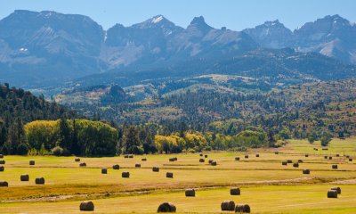 Freshly Mown Fields and Mountains Near Telluride