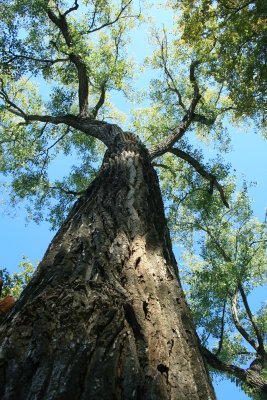 La Grange, Texas