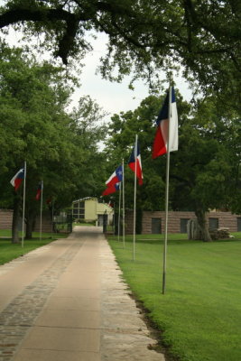 Flags by the drive