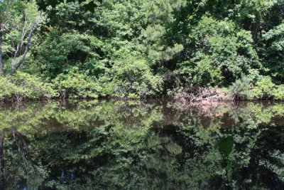 Reflection on pond