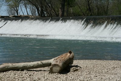 The Dam & the log