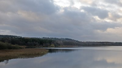 Silkeborg Langs East Bassin in November 5