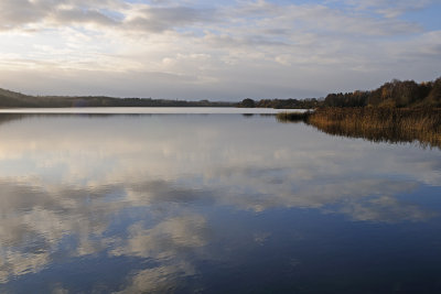 Silkeborg Langs East Bassin in November 1
