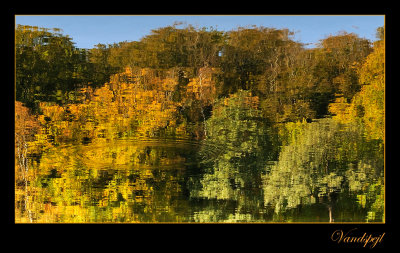 Water mirror, Vandspejl I