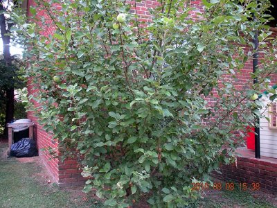 DSCN0403.jpg